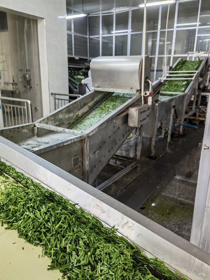 濟(jì)南脫水韭菜